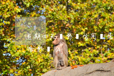 逾期四天會影響信用嗎（信用卡有四天逾期有啥影響么）