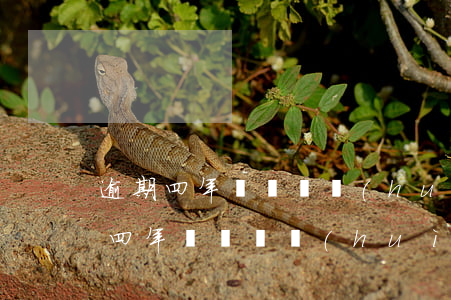 逾期四年沒還還會(huì)被起訴嗎(逾期四年沒還還會(huì)被起訴嗎)