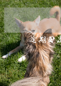 逾期四次房貸被拒（信用卡逾期三次房貸被拒）