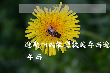 逾期四次能贷款买车吗(逾期一次可以贷款买车吗)
