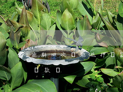 逾期四次還能抵押貸款嗎(銀行逾期兩次還能貸款嗎)