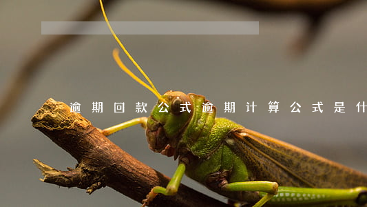 逾期回款公式 逾期计算公式是什么意思