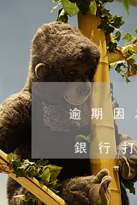 逾期因為上班一直接不上銀行電話-逾期后銀行打電話到單位是否合理