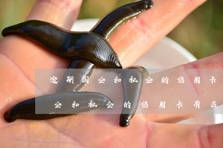逾期国企和私企的信用卡有区别吗-逾期国企和私企的信用卡有区别吗知乎