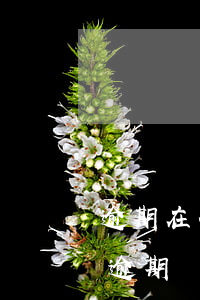 逾期在什么情況下才能凍結(jié)微信（逾期凍結(jié)微信還能聊天嗎）