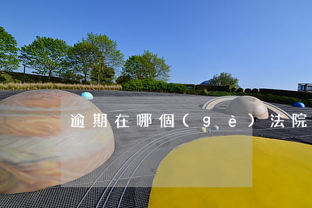 逾期在哪個(gè)法院立案(逾期多久立案)