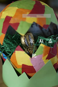 逾期在異地被起訴了怎么辦(逾期起訴是在本地嗎)
