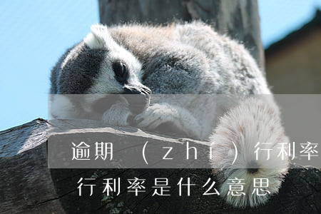 逾期執(zhí)行利率 逾期執(zhí)行利率是什么意思