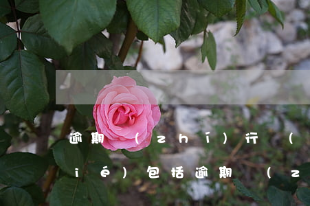 逾期執(zhí)行環(huán)節(jié)包括（逾期執(zhí)行環(huán)節(jié)）