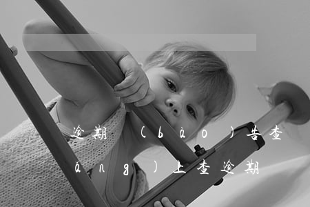 逾期報(bào)告查詢(xún) 網(wǎng)上查逾期