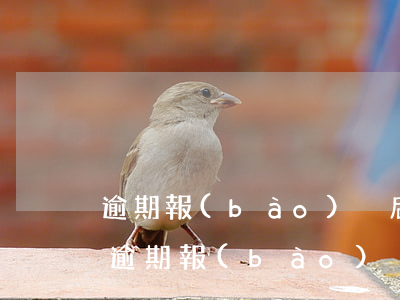 逾期報(bào)稅后怎么申報(bào)(逾期報(bào)稅后怎么申報(bào)增值稅)