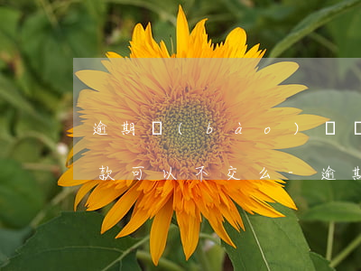 逾期報(bào)稅產(chǎn)生的罰款可以不交么-逾期報(bào)稅產(chǎn)生的罰款可以不交么