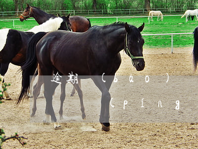逾期報(bào)稅罰款會(huì)影響納稅評(píng)級(jí)嗎-逾期報(bào)稅處罰