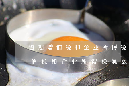 逾期增值税和企业所得税怎么申报-逾期增值税和企业所得税怎么申报的
