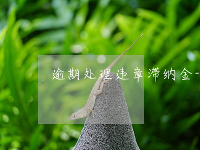 逾期处理违章滞纳金-违章违约滞纳金