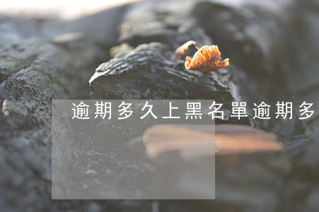 逾期多久上黑名單(逾期多久會上黑名單?)