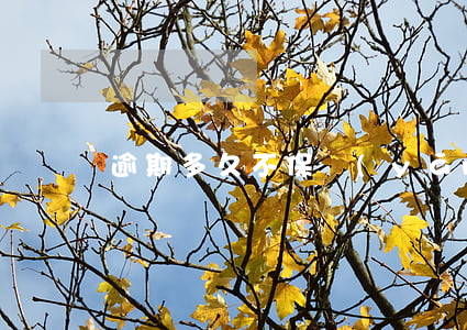 逾期多久不保養(yǎng)會脫保