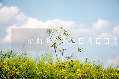 逾期多久不能辦房貸嗎?(房貸可以逾期多久)