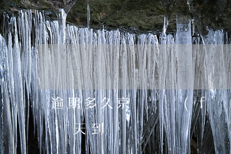 逾期多久京東會發(fā)郵件-京東郵件幾天到