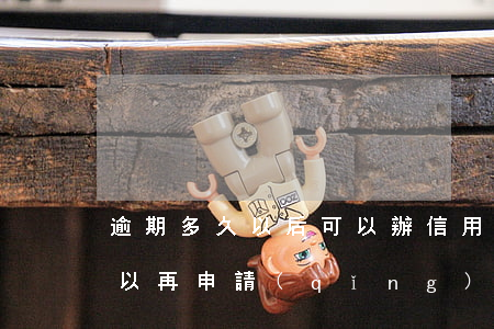 逾期多久以后可以辦信用卡了(逾期了多久可以再申請(qǐng)辦信用卡)