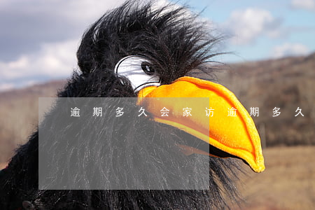 逾期多久会家访(逾期多久联系家人)