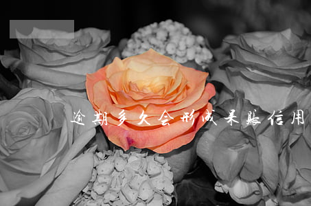 逾期多久会形成呆账（信用卡有呆帐算逾期么）