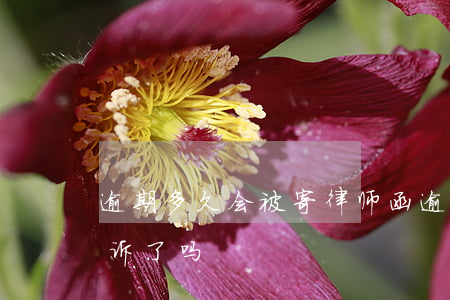 逾期多久会被寄律师函(逾期寄律师函就是起诉了吗)