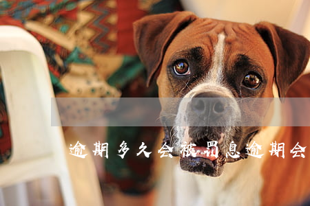 逾期多久会被罚息(逾期会罚款吗)
