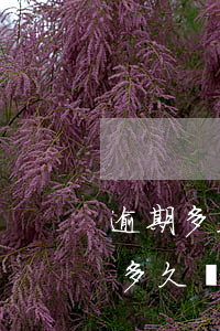 逾期多久信用卡會(huì)封卡(欠信用卡多久會(huì)封銀行卡)