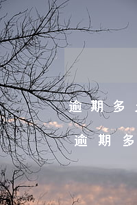 逾期多久凍結(jié)銀行卡（信用卡一般逾期多久會(huì)凍結(jié)賬戶）