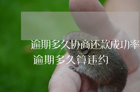 逾期多久协商还款成功率最高(协商还款再次逾期多久算违约)