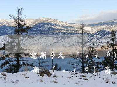 逾期多久協(xié)商還款合適(信用卡逾期協(xié)商還款后,多久能清賬)