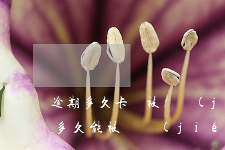 逾期多久卡會被凍結(jié)（信用卡逾期多久能被凍結(jié)）