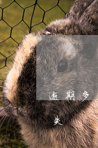 逾期多久叫损失类贷款(贷款逾期多久定为损失)