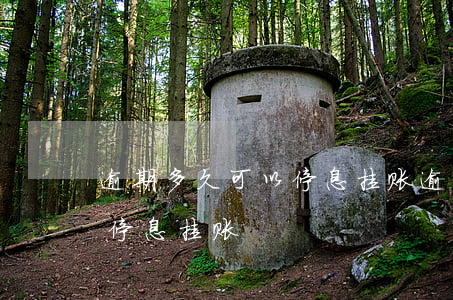 逾期多久可以停息挂账(逾期几个月后可以做停息挂账)