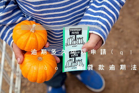 逾期多久可以申請(qǐng)法院調(diào)解(貸款逾期法院調(diào)解)