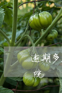 逾期多久可以被起訴（逾期起訴一般在那里法院）