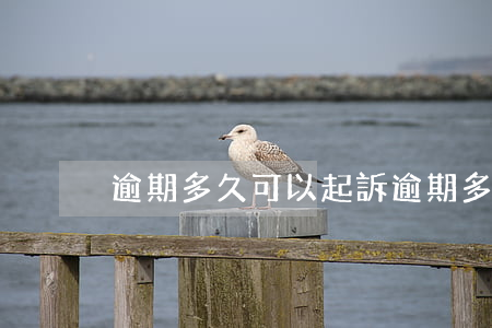 逾期多久可以起訴（逾期多久要起訴）