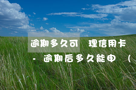 逾期多久可辦理信用卡個(gè)性化分期-逾期后多久能申請(qǐng)信用卡