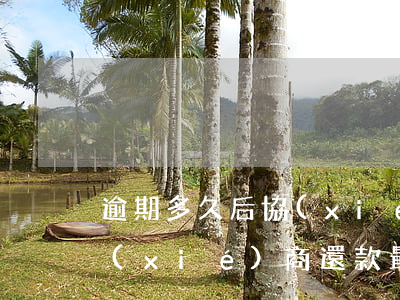 逾期多久后協(xié)商還款(逾期多久協(xié)商還款最好)