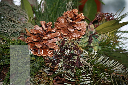 逾期多久就可以起訴