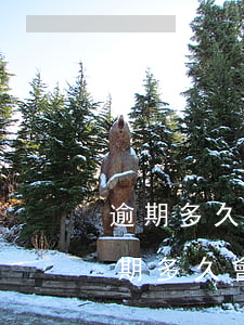 逾期多久就會進(jìn)黑名單-一般逾期多久會上黑名單