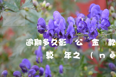 逾期多久影響公積金貸款(公積金貸款有逾期記錄算幾年之內(nèi))