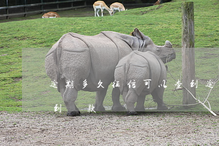 逾期多久征信可以查到(逾期多久征信可以查到貸款記錄)