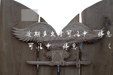 逾期多久才可以申請停息掛賬-逾期多久才可以申請停息掛賬業(yè)務