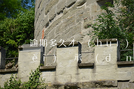 逾期多久才會(huì)被起訴訴訟費(fèi)誰承擔(dān)-逾期多少天起訴