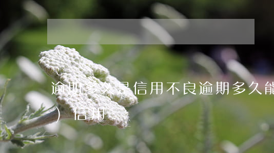 逾期多久是信用不良(逾期多久能恢復(fù)信用)