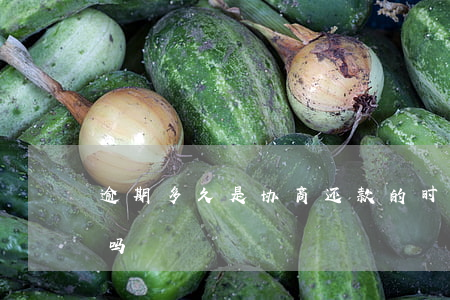 逾期多久是协商还款的时候(协商还款算逾期吗)