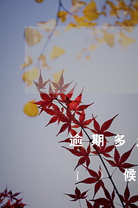 逾期多久是協(xié)商還款的時(shí)候(協(xié)商還款算逾期嗎)