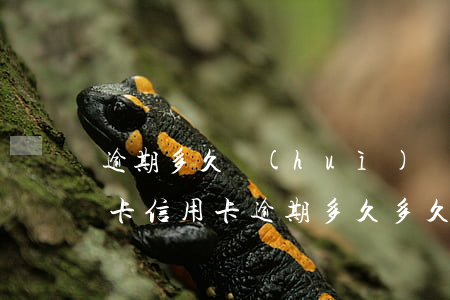 逾期多久會(huì)凍結(jié)信用卡（信用卡逾期多久多久才會(huì)取消）